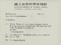 登錄號:F0033144藏品圖，第2張