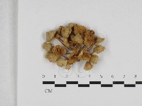 登錄號:F0033148藏品圖，第1張