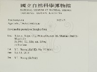 登錄號:F0033151藏品圖，第2張