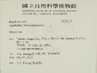 小菇屬藏品圖，第2張