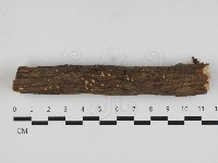 登錄號:F0033155藏品圖，第1張