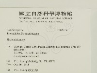 登錄號:F0033156藏品圖，第2張