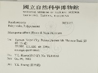 相鄰小孔菌藏品圖，第2張