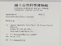 木層孔菌屬藏品圖，第2張