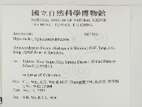 登錄號:F0033164藏品圖，第2張