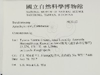 登錄號:F0033165藏品圖，第2張