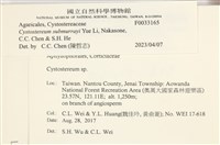 登錄號:F0033165藏品圖，第3張