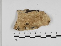 登錄號:F0033166藏品圖，第1張