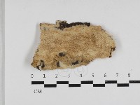 登錄號:F0033166藏品圖，第3張