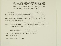 登錄號:F0033167藏品圖，第2張