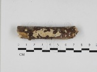 登錄號:F0033168藏品圖，第1張