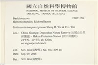 登錄號:F0033168藏品圖，第3張