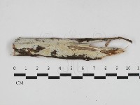 登錄號:F0033169藏品圖，第1張