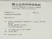 多年臥孔菌屬藏品圖，第2張