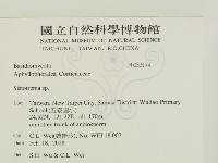 登錄號:F0033174藏品圖，第2張