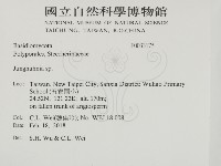 容氏菌屬藏品圖，第2張