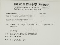 登錄號:F0033176藏品圖，第2張