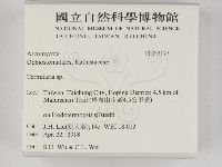 登錄號:F0033177藏品圖，第2張
