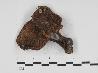 登錄號:F0033178藏品圖，第1張