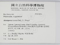 登錄號:F0033179藏品圖，第2張