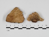 登錄號:F0033180藏品圖，第1張