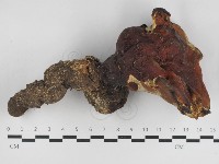登錄號:F0033181藏品圖，第3張