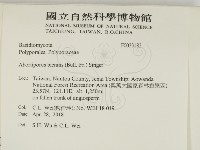 登錄號:F0033183藏品圖，第2張