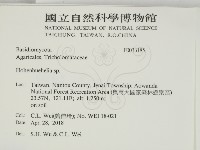 登錄號:F0033185藏品圖，第2張