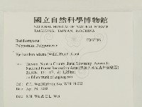 煙管菌藏品圖，第2張