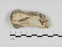 登錄號:F0033189藏品圖，第1張