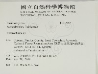 刺皮菌屬藏品圖，第2張