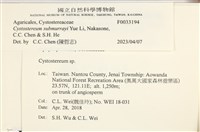 登錄號:F0033194藏品圖，第3張