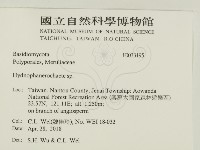 登錄號:F0033195藏品圖，第2張