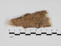 登錄號:F0033195藏品圖，第1張