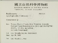 登錄號:F0033196藏品圖，第2張