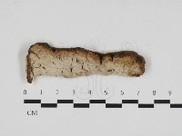 登錄號:F0033196藏品圖，第1張