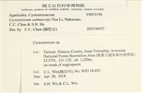 登錄號:F0033196藏品圖，第3張