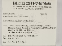 登錄號:F0033199藏品圖，第2張