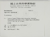 登錄號:F0033202藏品圖，第2張