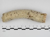 登錄號:F0033203藏品圖，第1張