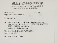 齒耳菌屬藏品圖，第2張