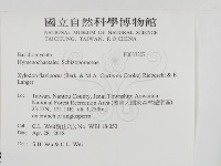 登錄號:F0033207藏品圖，第2張