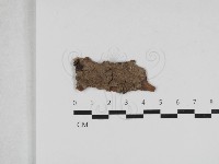 登錄號:F0033212藏品圖，第1張