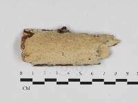 登錄號:F0033213藏品圖，第1張