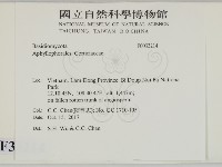 登錄號:F0033214藏品圖，第2張