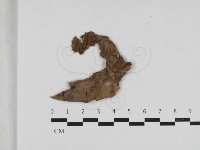 登錄號:F0033214藏品圖，第1張