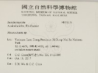 刺皮菌屬藏品圖，第2張