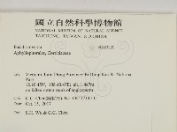 登錄號:F0033220藏品圖，第2張