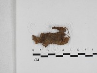 登錄號:F0033220藏品圖，第1張