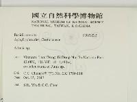 阿太菌屬藏品圖，第2張